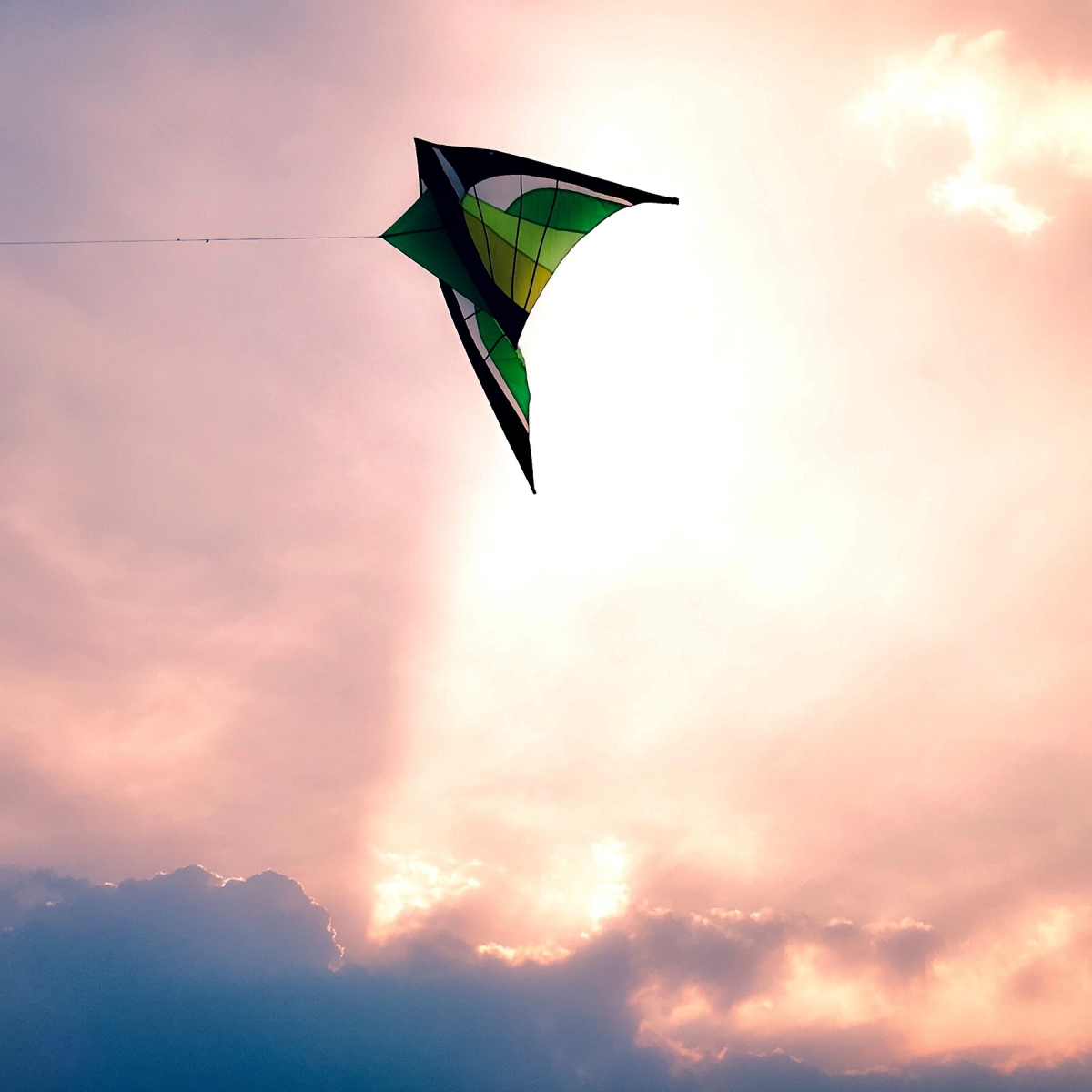 Kite in the sky