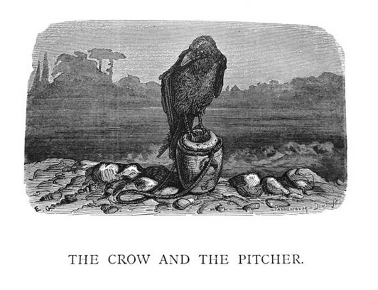 crow